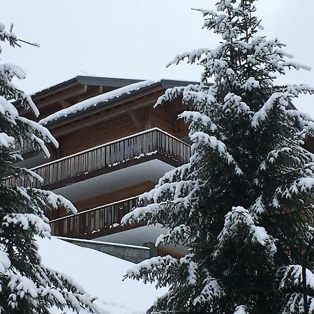 Les 4 Elements Aparthotel Châtel Екстериор снимка
